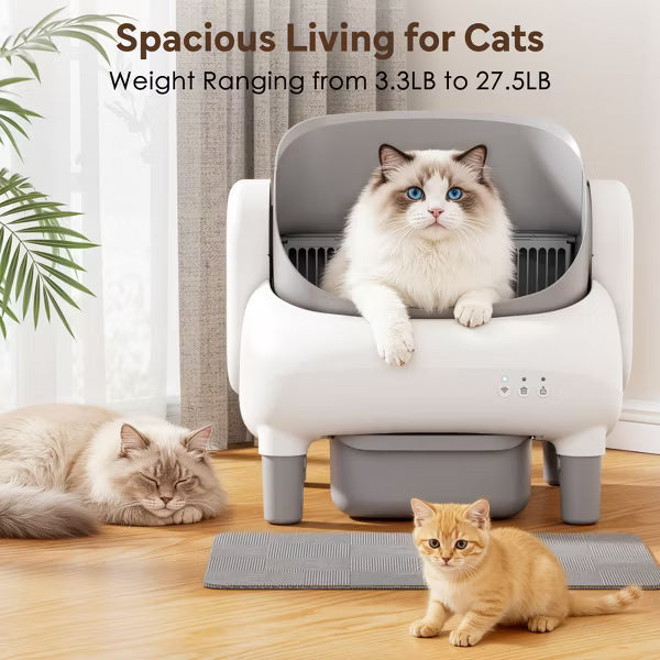 Cumrige Self Cleaning Litter Box,Open Top Automatic Litter Box with App Control for Multiple Cats,Safety Sensors Protection