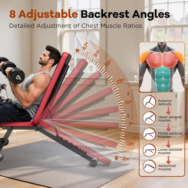 FLYBIRD Basic Adjustable Weight Bench for Home Gym, Foldable Workout Bench with 8 Backrests, 660LBS Weight Capacity