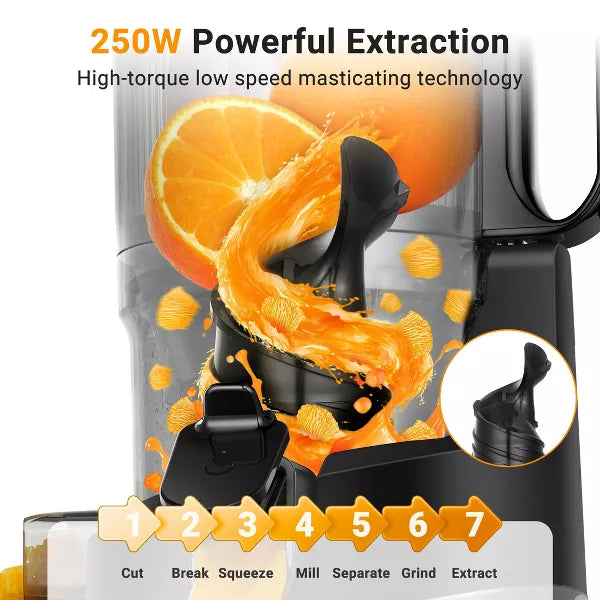 Masticating Juicer, 5.3 in Cold Press Juicer with 250W Motor, Triple Filtration, Safety Lid Lock, 1.8 L Capacity, Fit for Whole Fruits & Vegetables