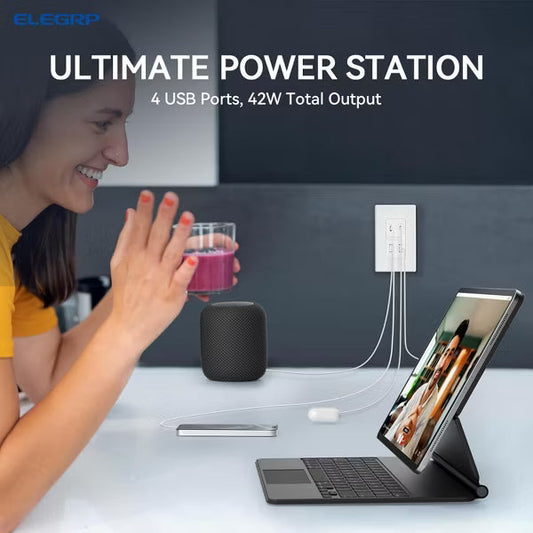 ELEGRP USB Wall Outlet with 2A & 2C USB Ports, 42W Fast Charge 4 Ports USB Charger, Wall Plate Included, UL/CUL Listed, Matte White,1 PC