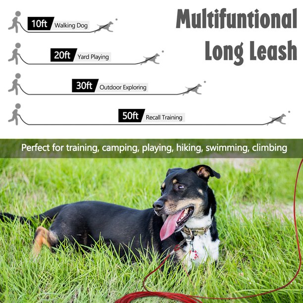Dog Chain, Long Dog Leash Chew Proof, Tie Out Cable for Dogs Heavy Duty 10/30/50 FT with Carabiner, Dog Leads for Medium and Large Dogs Up to 125lbs