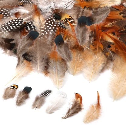 180Pcs Assorted Feathers, 6 Styles Natural Chicken Feathers for DIY Crafts Earring Wings Dream Catcher Wedding Home Party Decorations