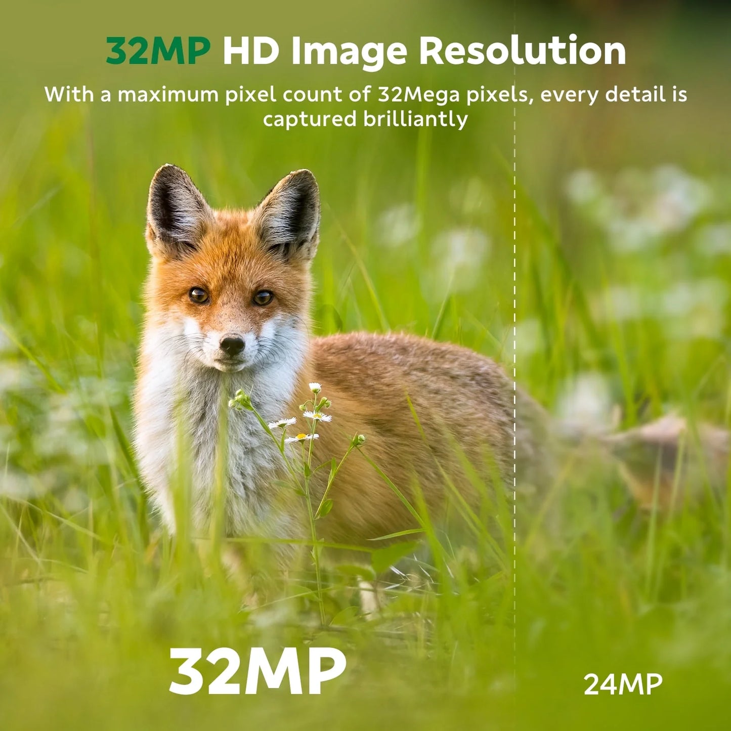 CAMPARK Trail Camera WiFi Bluetooth Game Deer Hunting Camera with Night Vision Waterproof IP66 0.1s Trigger Motion Activated Trail Cam 32MP 1080P 2.4" LCD Wildlife Camera