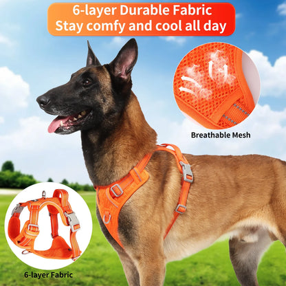Katieovy Dog Harness and Dog Leash Set,Reflective No Pull Dog Harness for Medium Dog,Mesh Adjustable Dog Harness with Dog Poop Bag Holder,Orange