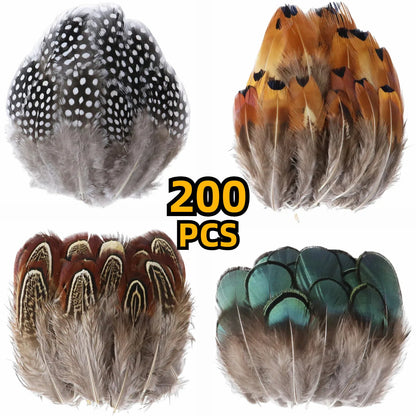 200Pcs Assorted Feathers, 4 Styles Chicken Feathers for DIY Crafts Dream Catcher Halloween Costume Carnival Party Mask Decoration