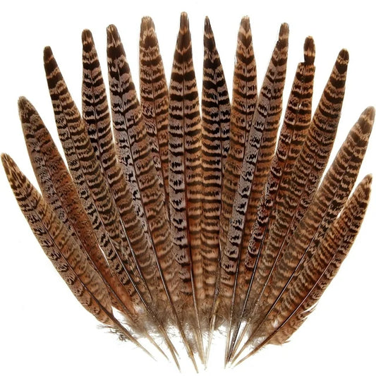 20Pcs Pheasant Tail Feather for DIY Crafts Home Holiday Party Decorations, 10-12 inch Natural Feather