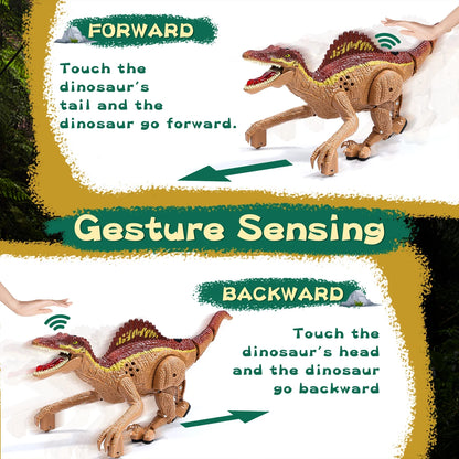 JoyStone Remote Control Dinosaur Toys, Gesture Sensing RC Dinosaurs - Realistic Walking, Roaring, and Spraying Spinosaurus Toys Robot Dinosaur for Kids, Brown