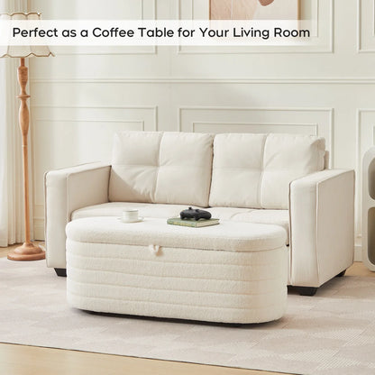 Storage Ottoman Bench End of Bed for Bedroom,Upholstered Entryway Shoe Seat Bench with Storage, Modern Cute Padded Blanket Chest Stool Foot Rest for Living Room, Window Seating