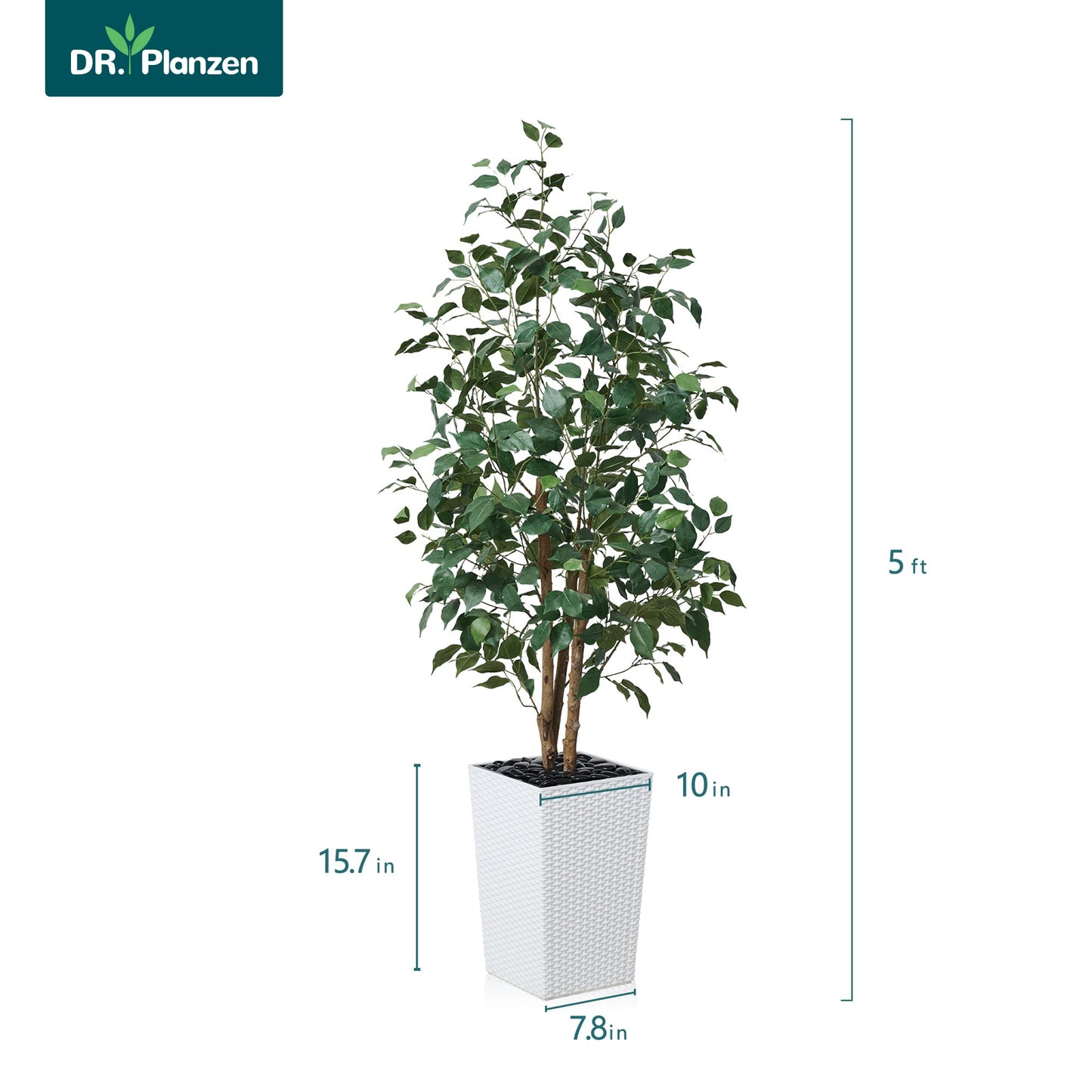 DR.Planzen Artificial Ficus Tree 5ft - UV Protected Faux Ficus Plant with Adjustable Branches and Realistic Green Leaves for Indoor  Outdoor Decor, White Large Planter with River Rocks