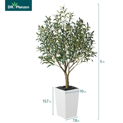 DR.Planzen UV Resistant 5ft Artificial Olive Tree in White Large Planter with Pebbles– Faux Olive Tree for Indoor and Outdoor Decor, Lifelike Greenery for Home  Garden Decor