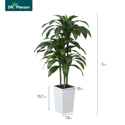 DR.Planzen Artificial Dracaena Tree 5ft - UV Protected Faux Dracaena Plant with 57 Green Leaves, Fake Tree for Indoor  Outdoor Use, Sturdy Tall White Planter with River Stones