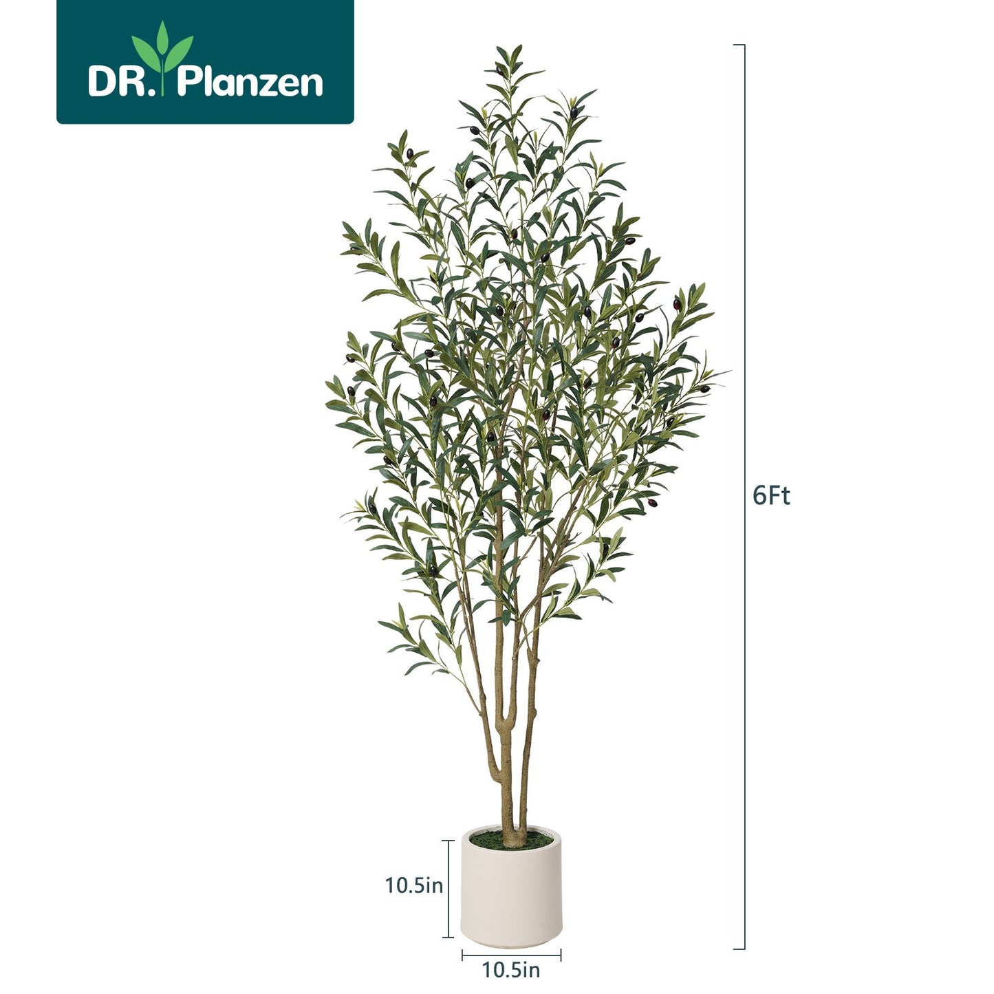 Artificial Olive Trees Indoor, 6FT Tall Faux Olive Tree with White Tall Planter, Artificial Plants with Muti Trunk and Lifelike Fruits for Home Office Decor