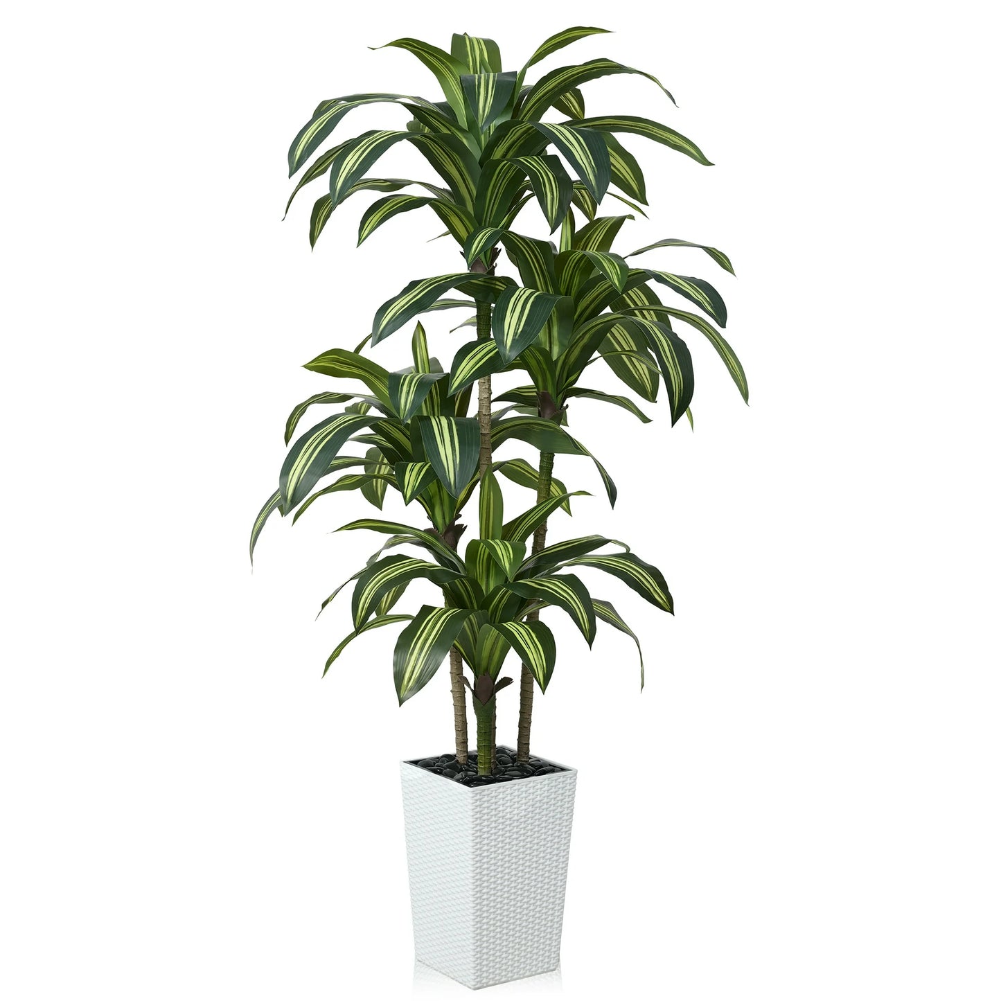 DR.Planzen 6FT Artificial Dracaena Tree with UV-Resistant Silk Leaves in White Tall Planter - Indoor/Outdoor Faux Plant for Home Office House Decor, Tall Fake Tree for Living Room Lobby  Patio