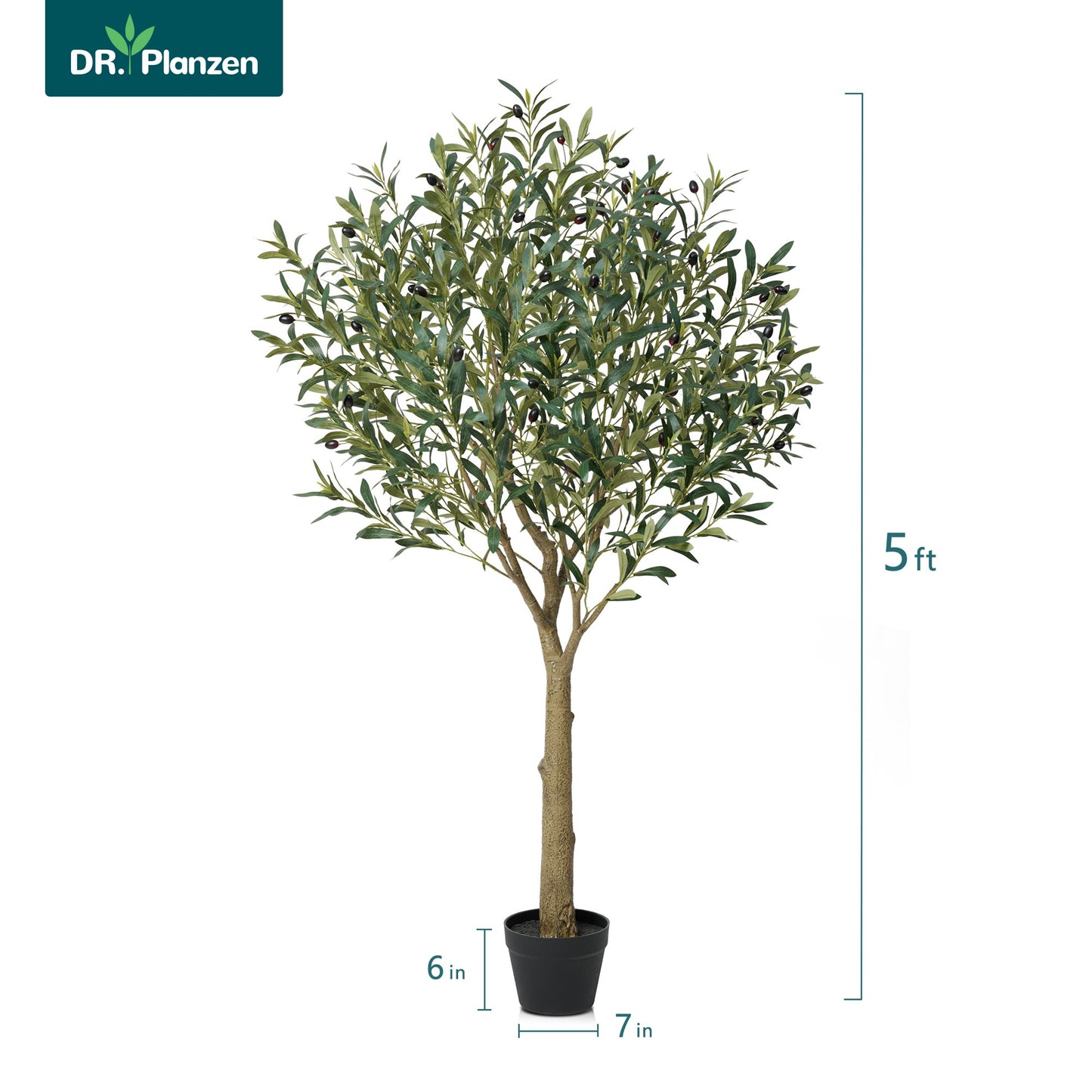 DR.Planzen UV Resistant Artificial Olive Tree 5ft - Faux Olive Plant for Indoor  Outdoor Decor - Adjustable Branches - Realistic Olive Tree with Black Plastic Pot