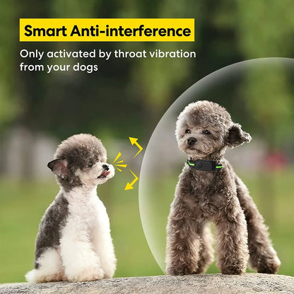 Dog Bark Collar, Bark Shock Collar with Beep Vibration Shock, Bark Collar for Large Medium Small Dogs, Rechargeable Humane Anti Barking Training Collar with 5 Adjustable Sensitivity, Waterproof