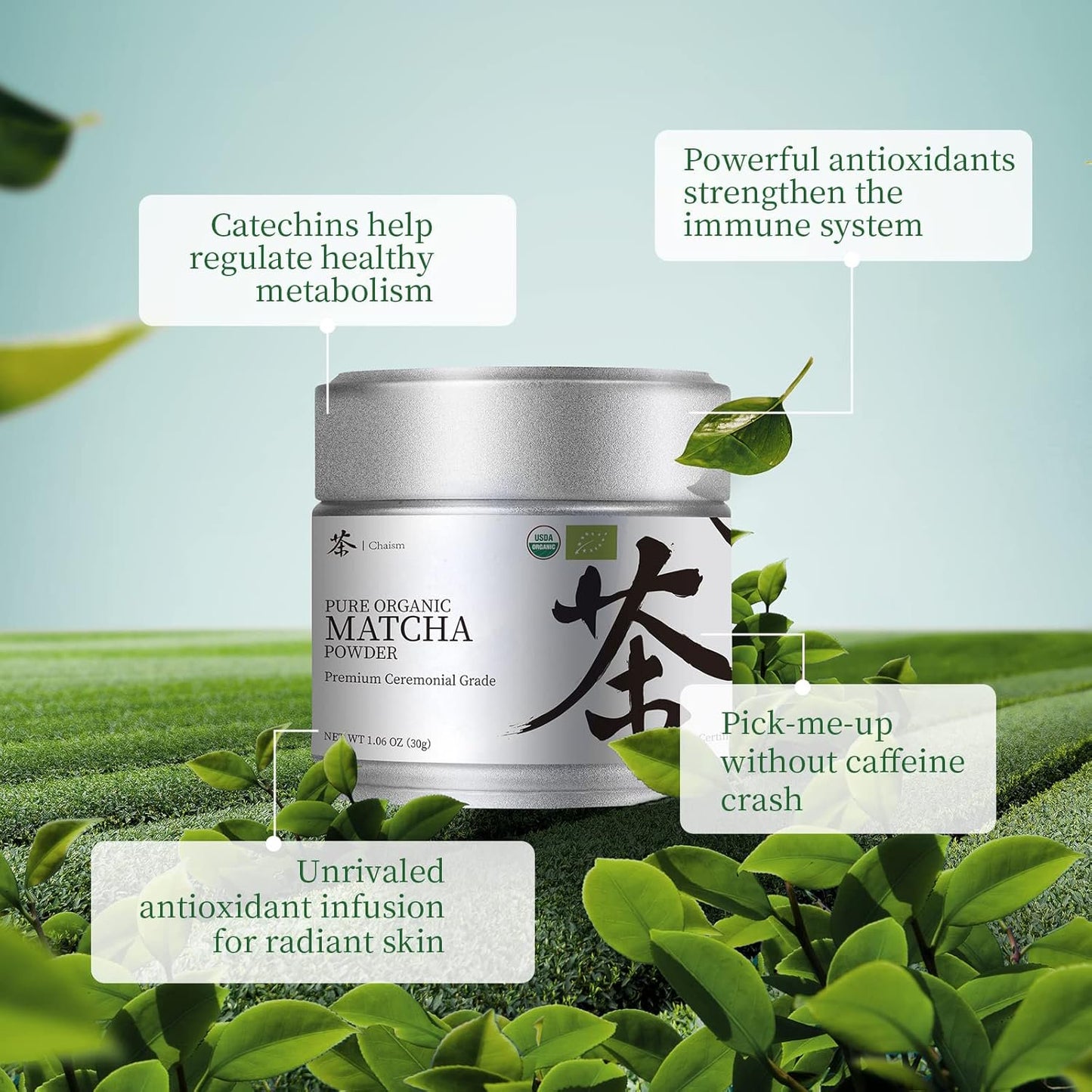 Natural Matcha Powder Classic Green Tea Powder