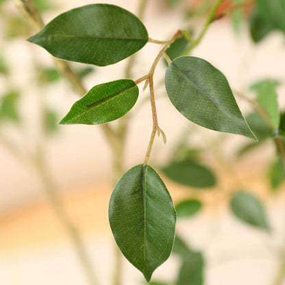 6ft Fake Ficus Tree with Oval White Planter, Pre Potted Faux Greenry Plant for Home Decor Office House Living Room Indoor Outdoor, Big Fake Plants Fake House Plants