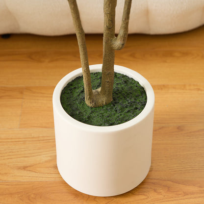 Artificial Olive Trees Indoor, 6FT Tall Faux Olive Tree with White Tall Planter, Artificial Plants with Muti Trunk and Lifelike Fruits for Home Office Decor