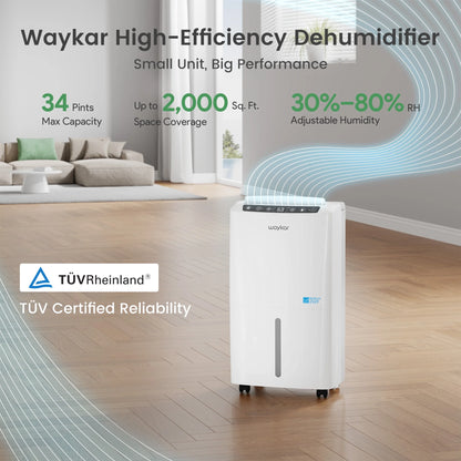 Sitvon 10 Pint Energy Star Dehumidifier for Room, Basement, 2,000 Sq. Ft, Quiet, Humidity Control, Timer, Drain Hose