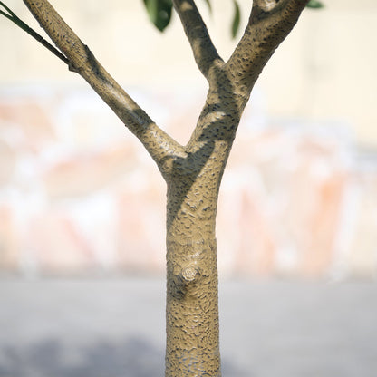 DR.Planzen UV Resistant Artificial Olive Tree 5ft - Faux Olive Plant for Indoor  Outdoor Decor - Adjustable Branches - Realistic Olive Tree with Black Plastic Pot