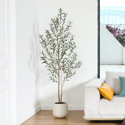 6ft Artificial Olive Tree with 10.5 inch White Planter, Tall Fake Olive Trees with Natural Wood Trunk and Lifelike Fruits, Faux Olive Silk Tree for Home Decor and Gift
