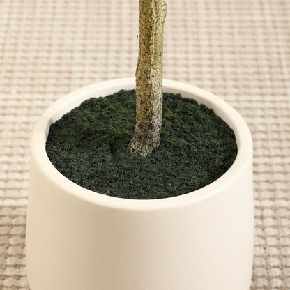 6ft Fake Ficus Tree with Oval White Planter, Pre Potted Faux Greenry Plant for Home Decor Office House Living Room Indoor Outdoor, Big Fake Plants Fake House Plants