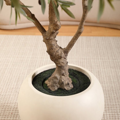 8ft Artificial Olive Tree with 18 inch White Planter, Tall Fake Olive Trees for Indoor, Faux Olive Silk Tree, Large Olive Plants for Home Decor and Housewarming Gift