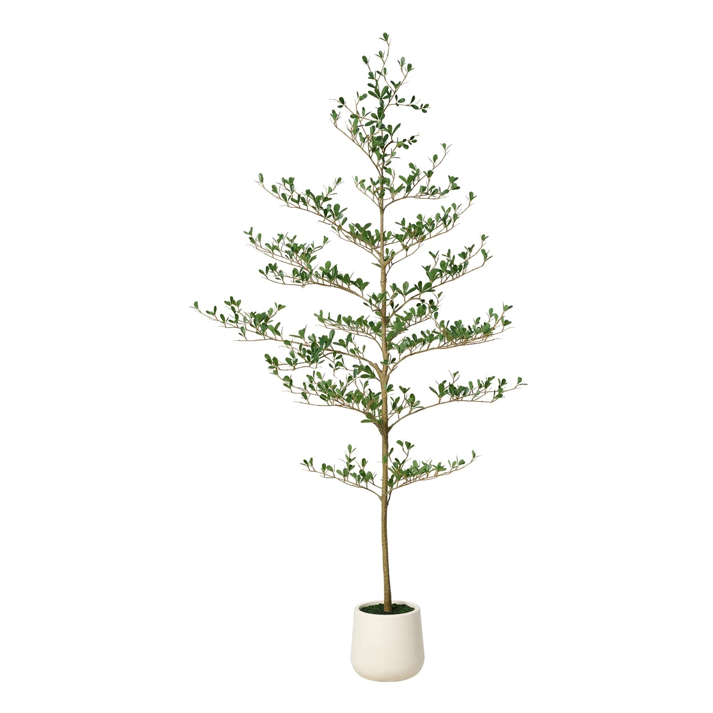 DR.Planzen 6FT Artificial Black Olive Tree with UV-Resistant Silk Leaves  White Planter, Tall Artificial Plant Natural Wood Trunk for Home Office Indoor Outdoor Decor