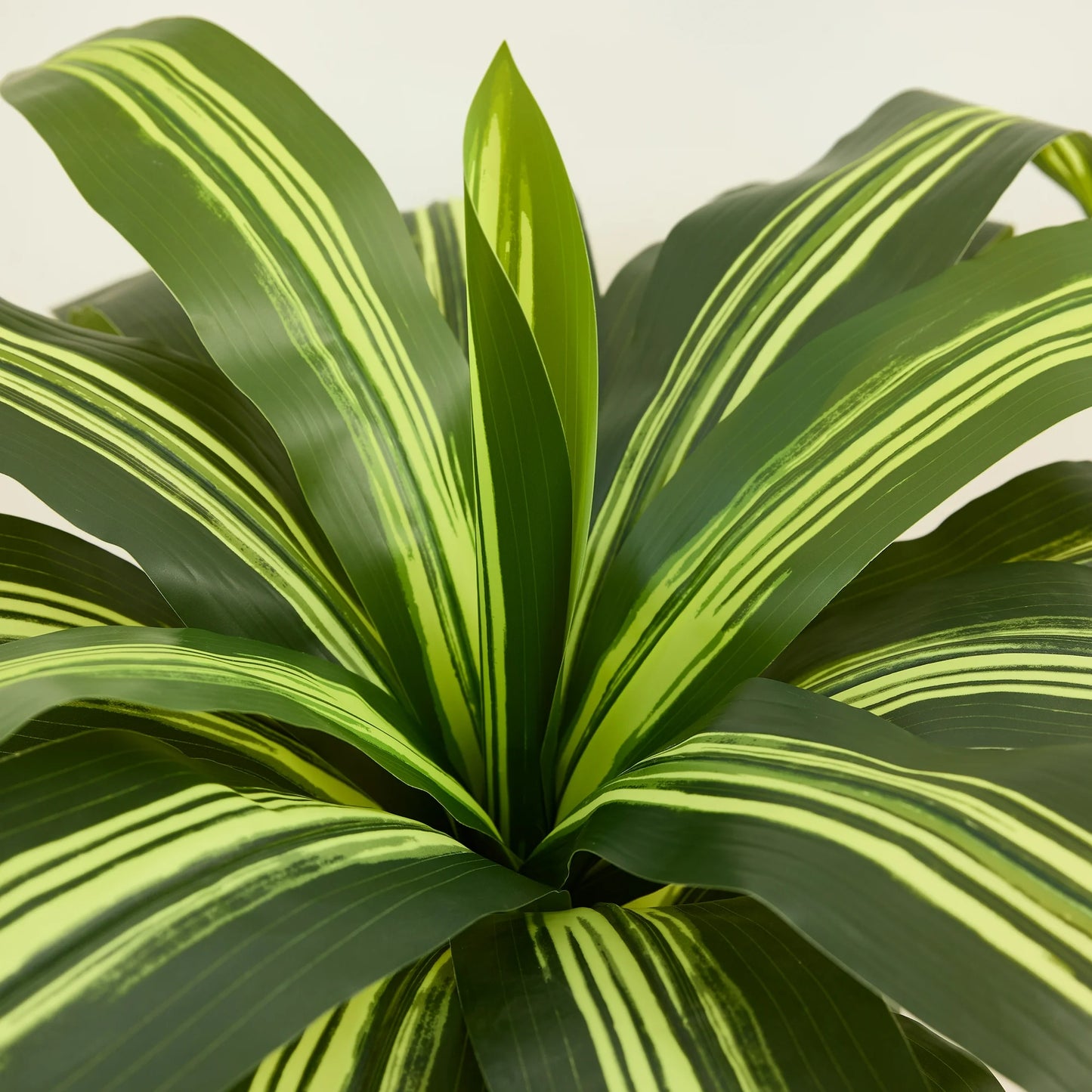DR.Planzen 6FT Artificial Dracaena Tree with UV-Resistant Silk Leaves in White Tall Planter - Indoor/Outdoor Faux Plant for Home Office House Decor, Tall Fake Tree for Living Room Lobby  Patio