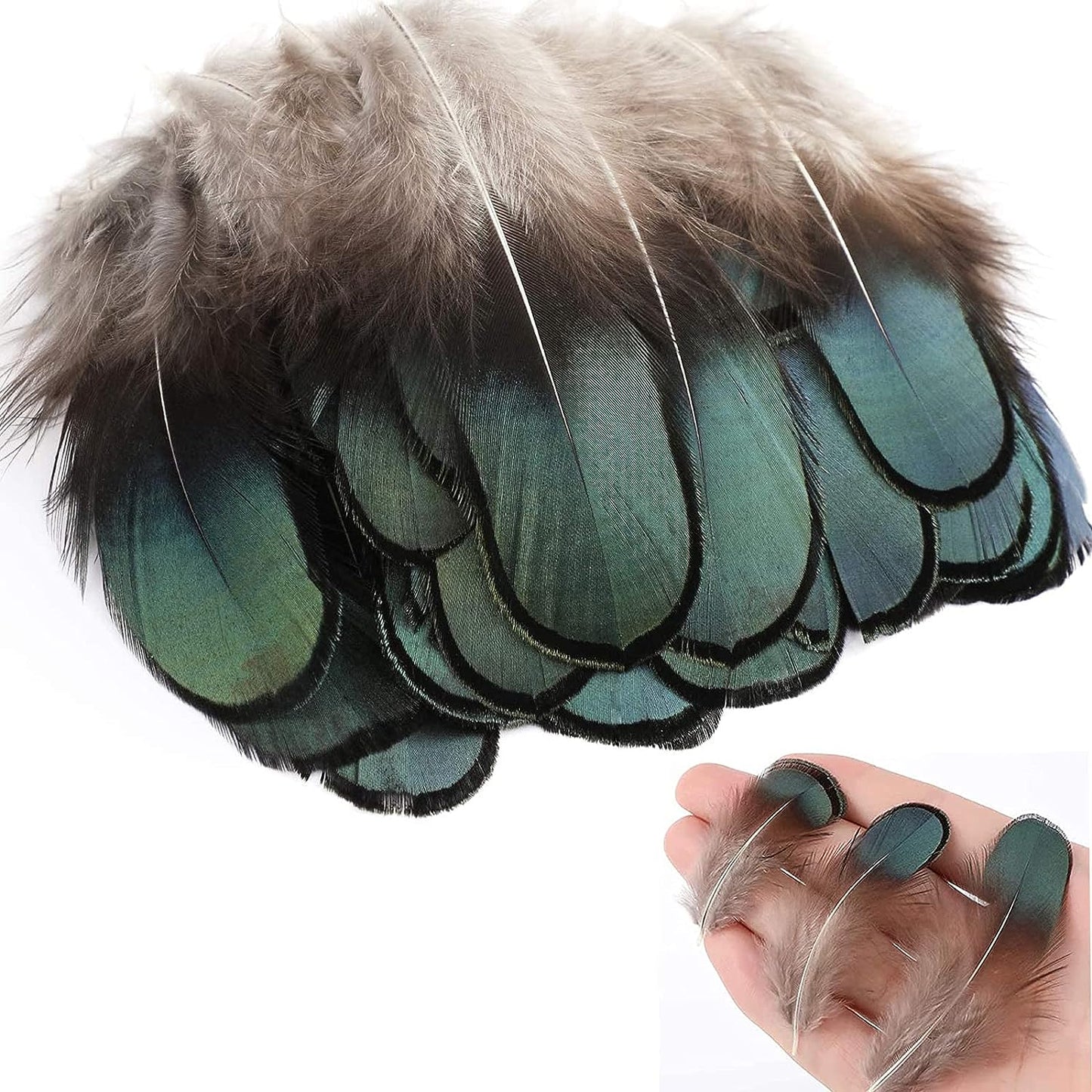 200Pcs Assorted Feathers, 4 Styles Chicken Feathers for DIY Crafts Dream Catcher Halloween Costume Carnival Party Mask Decoration