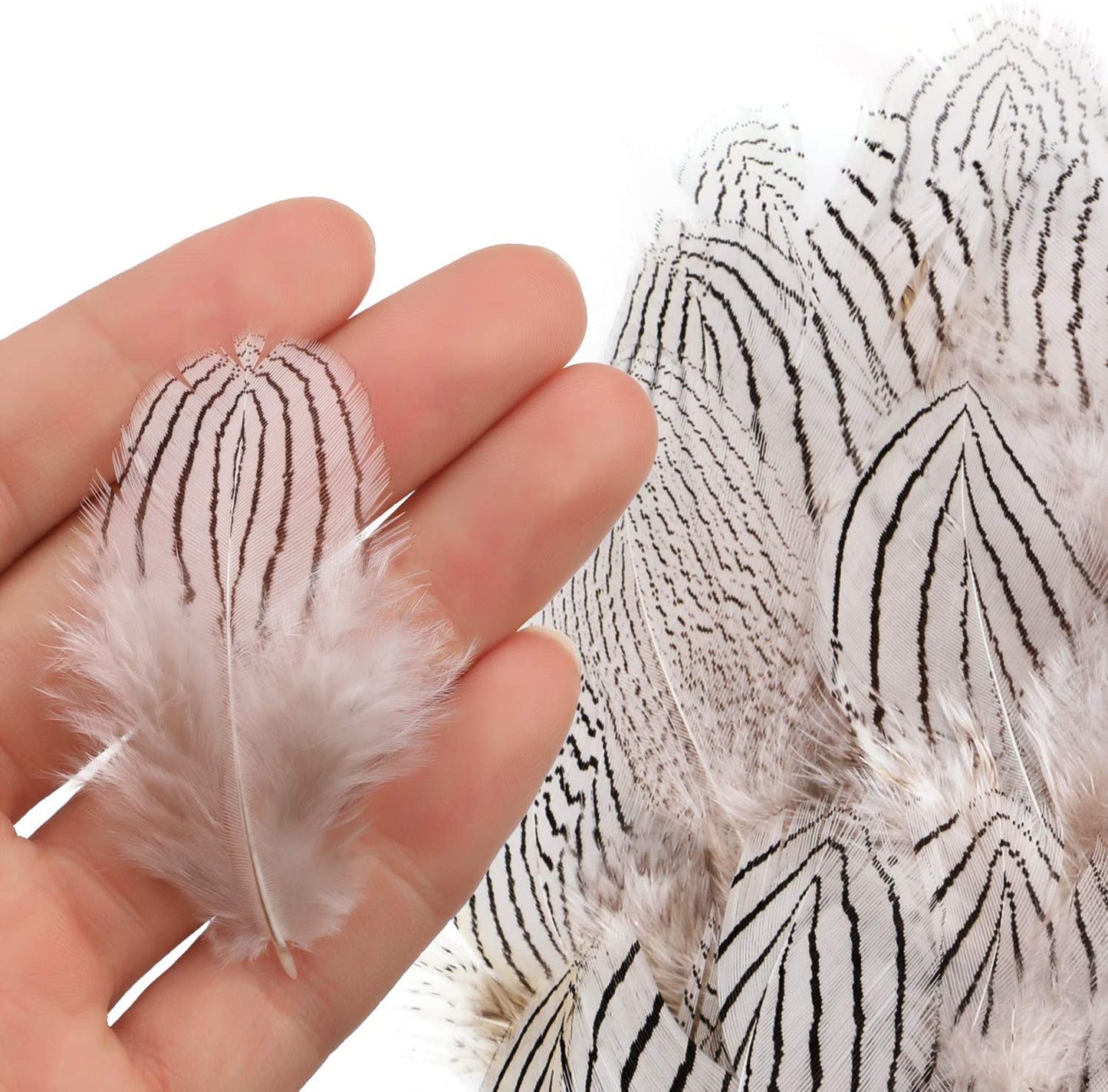 180Pcs Assorted Feathers, 6 Styles Natural Chicken Feathers for DIY Crafts Earring Wings Dream Catcher Wedding Home Party Decorations