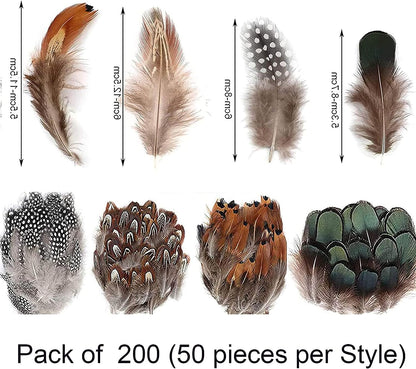 200Pcs Assorted Feathers, 4 Styles Chicken Feathers for DIY Crafts Dream Catcher Halloween Costume Carnival Party Mask Decoration