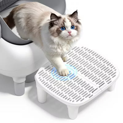 Cat Litter Box Step Ramp with Litter Catcher for Senior Cats and Kittens