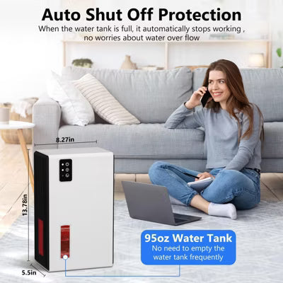 Dehumidifier for Home Bedroom And Bathroom with Quiet Sleep Mode and Auto Shut Off,Black