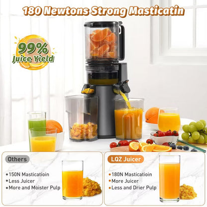 Cold Press Juicer Professional Slow Masticating Juicer for Whole Vegetables & Fruits with High Juice Yield Pink