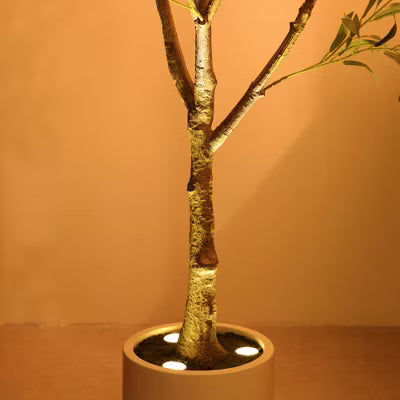 DR.Planzen 5/6FT Illuminated Artificial Olive Tree with LED Planter, Twinkling Faux Olive Tree for Christmas Holiday Decor, Indoor Festive Lighting