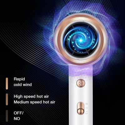 Hoey Professional Ionic Hair Dryer – 1800W Fast Drying, Low Noise Blow Dryer with Concentrator and Diffuser, for Home, Salon, and Travel