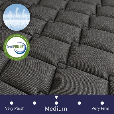 CHEVNI 12 Inch Mattress in a box Hybrid Spring Memory Foam Medium Firm