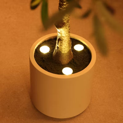 DR.Planzen 5/6FT Illuminated Artificial Olive Tree with LED Planter, Twinkling Faux Olive Tree for Christmas Holiday Decor, Indoor Festive Lighting