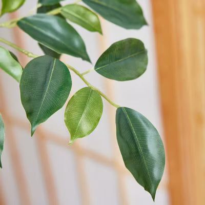 Dr.Planzen Artificial Ficus Tree in Textured White Planter, Faux Floor Plant with Lush Leaves, Tall Fake Potted Greenery for Indoor Home Decor