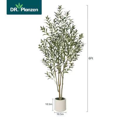 Dr.Planzen Artificial Olive Tree 5FT-7FT Tall - Realistic Tree with Potted White Planter, UV Resistant Leaves, Adjustable Branches for Home Decor