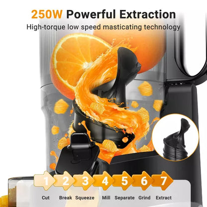 Masticating Juicer, 5.3 in Cold Press Juicer with 250W Motor, Triple Filtration, Safety Lid Lock, 1.8 L Capacity, Fit for Whole Fruits & Vegetables