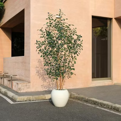 Dr.Planzen 8ft Artificial Ficus Tree with 18in White Planter, Tall Faux Ficus Trees with Real Wood Branches for Indoor and Outdoor Home Decor