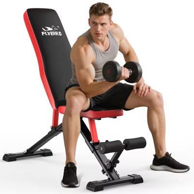 FLYBIRD Foldable Weight Bench, Adjustable Folding Workout Bench