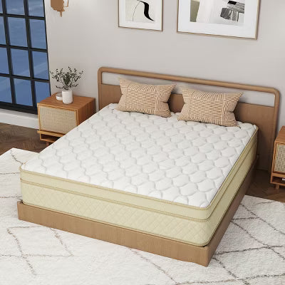 CHEVNI 12-14 Inch Mattress in a box Hybrid Spring Memory Foam Medium Firm