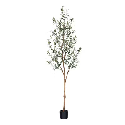 Artificial Olive Tree with Realistic Wood Trunk & Lush Leaves – Slim Pencil Faux Olive Plant for Home and Office Decor
