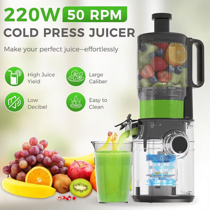OSTBA Juicer Machines, Cold Press Juicer For Whole Vegetables and Fruits, Easy to Clean for Batch Juicing
