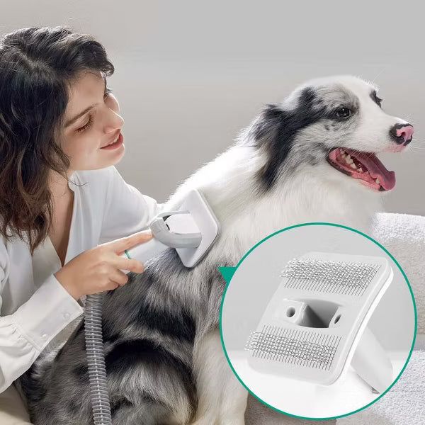 INSE P20 Pet Grooming Kit
