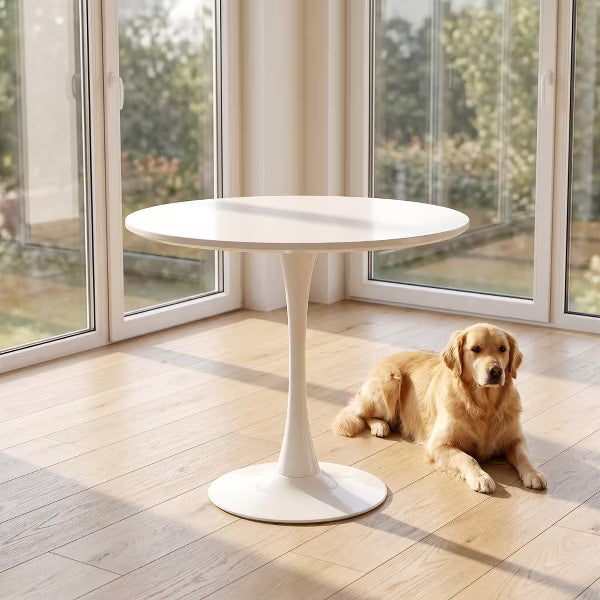 Modern 31.5" Round Dining Table, Mid-Century Pedestal Kitchen Furniture, Leisure Coffee Table for Small Spaces, Pure White
