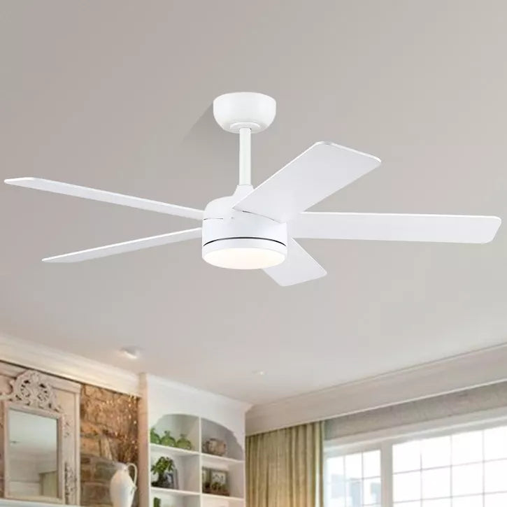 46 Inches Downrod ceiling Fan with Light,Reversible Wind,Timer Setting